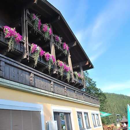 Pension Savisalo Ramsau am Dachstein Dış mekan fotoğraf